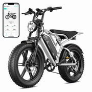 TST Electric Bike for Adults, 48V/15AH Battery, 20"x4" Fat Tire, 750W Motor EBike For Men, Tested to UL2849 Standard by SGS