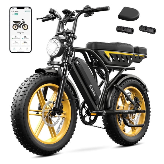 TST Electric Bike for Adults, 750W Motor, 20"x4" Fat Tire E Bicycle, E Mountain Bike, 48V/15AH, Tested to UL2849 Standard by SGS