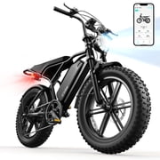 TST Electric Bike for Adults, 750W Motor, 20x4 Fat Tire, 20Mph Speed EBike, Full Suspension E Mountain Bike, 48V/15AH, UL2849