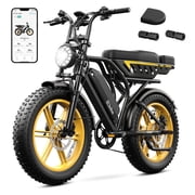 TST Electric Bike for Adults, 750W Motor, 20"x4" Fat Tire E Bicycle, E Mountain Bike, 48V/15AH, Tested to UL2849 Standard by SGS