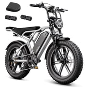 TST Electric Bike for Adults, 750W Motor, 20"x4" Fat Tire, 20mph Class2, E Mountain Bike, 48V/15AH , Tested to UL2849 Standard by SGS
