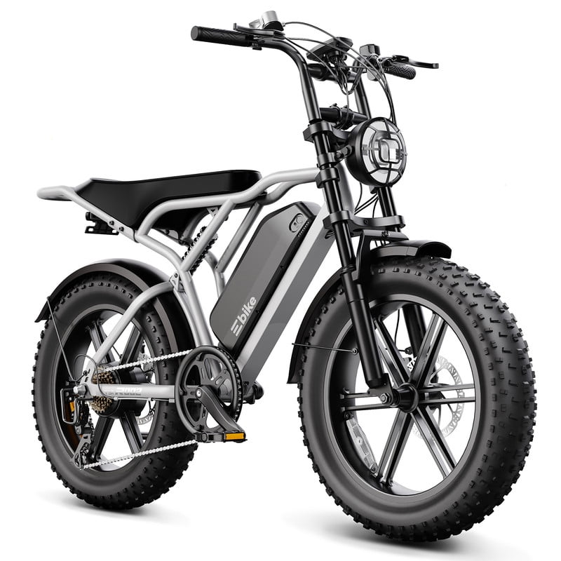 TST Electric Bike for Adults, 750W Motor, 20"x4" Fat Tire, E Mountain Bike, 48V/15AH UL2849