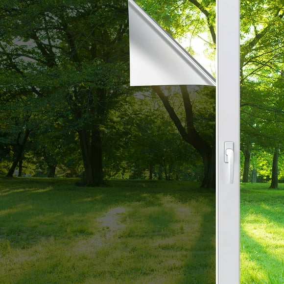 2 Way Mirror Tint