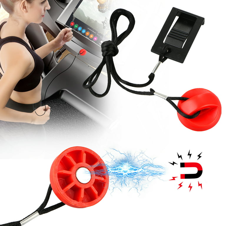 Fitness Accessories 