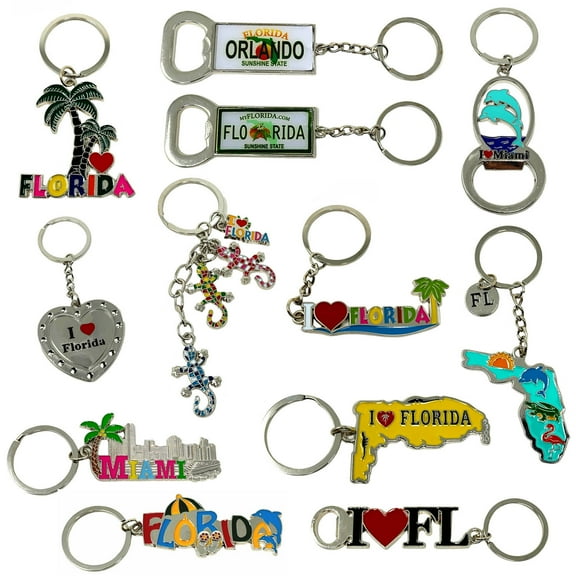 TSY TOOL Florida Ring Keychain, Multicolor, 12 Count