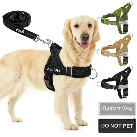 TSYKHAIA No Pull Dog Harness and Leash Set - Adjustable Vest with Soft Padding, Reflective Escape-Proof for Easy Walking and Training