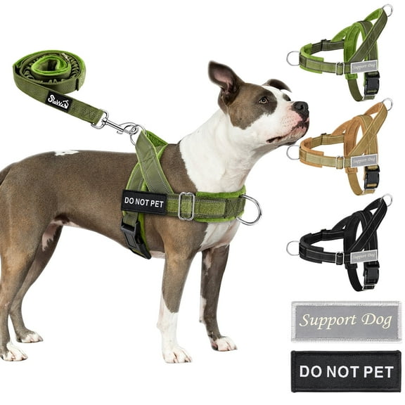 TSYKHAIA No Pull Dog Harness and Leash Set - Adjustable Vest with Soft Padding, Reflective Escape-Proof for Easy Walking and Training