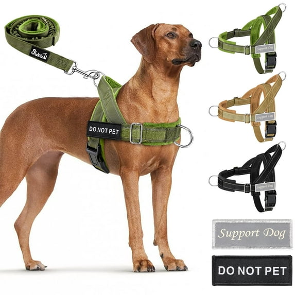 TSYKHAIA No Pull Dog Harness and Leash Set - Adjustable Vest with Soft Padding, Reflective Escape-Proof for Easy Walking and Training