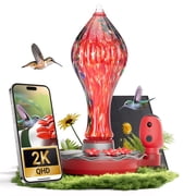 TT Nature Glass Hummingbird Feeder with Camera, 2K QHD Hummingbird Feeder Camera with Ant Moat, Solar Powered Bird Camera, AI Identify Bird Species, Water Level & Quality Monitor, Ideal Gift