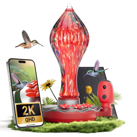TT Nature Glass Hummingbird Feeder with Camera, 2K QHD Hummingbird Feeder Camera with Ant Moat, Solar Powered Bird Camera, AI Identify Bird Species, Water Level & Quality Monitor, Ideal Gift
