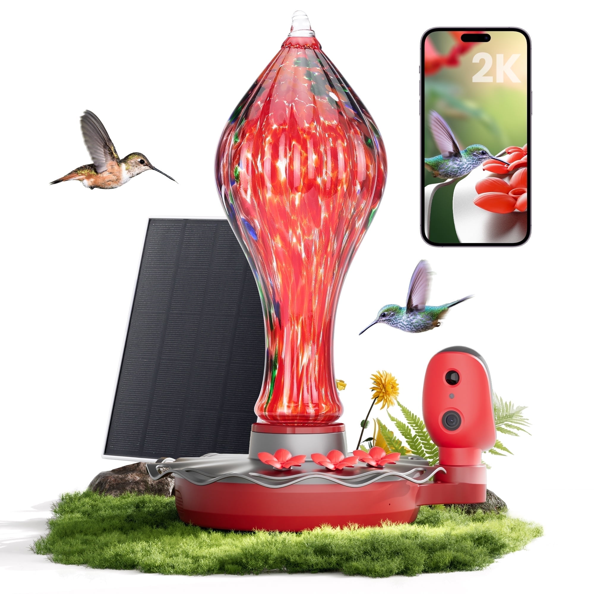 TT Nature Glass Solar Hummingbird Feeder with 2K Camera, AI Identification, Leakproof & Ant Moat,Alexa & Google Compatible