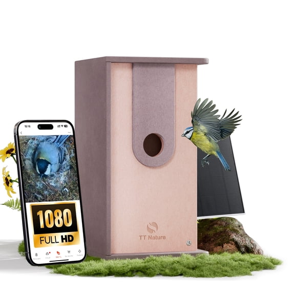 TT Nature HDPE Solar Powered Smart Bird House with Camera, Outdoor Bird Feeder for Nesting & Hatching, Perfect for All Birds