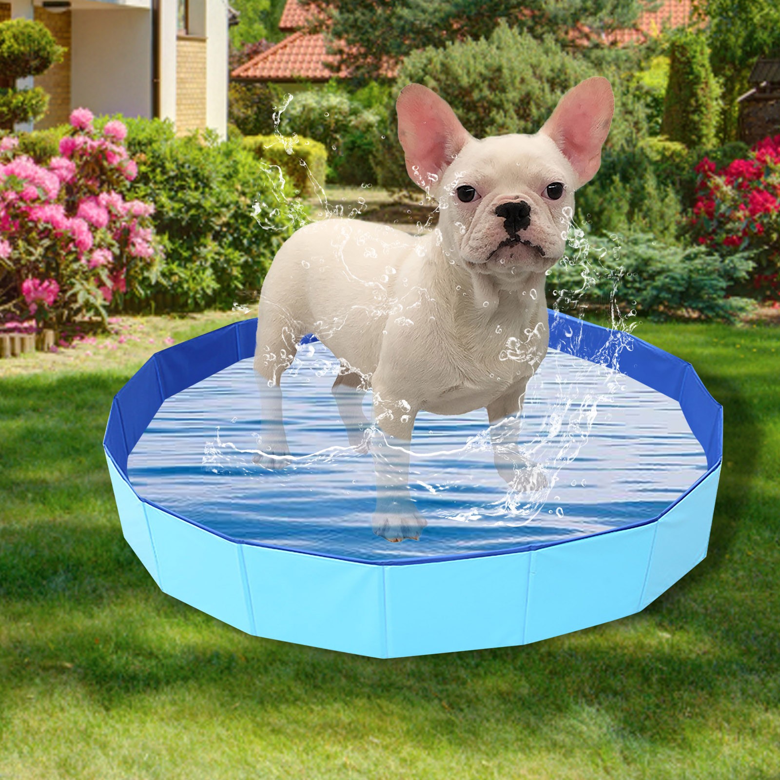 TTAUHJUT Collapsible Dog Pool Hard Plastic Case Portable Swimming Pool For Large Dogs Cats And