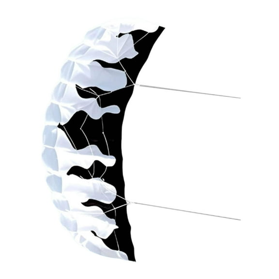 TTETTZ 2M Parafoil Kite Two Line 30M Line Stunt Kite for Children Adults Boys Girls Black White