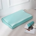 thumbnail image 1 of TTJ Silk Satin Neck Guard Pillowcase Zipper Closure 19.7x11.8 in Cooling Breathable Hair And Skin Friendly Sleep Pillow Cover Smooth Luxury Bedding Accessory, 1 of 8
