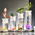 thumbnail image 1 of TTJ Small Fish Tank Fish Tank Goldfish Bowl Fish Tank for Goldfish Plastic Aquarium Home Decor Clear Fish Tank for Desktop Suitable for Tabletops Living Room Bedroom Ornaments, 1 of 7