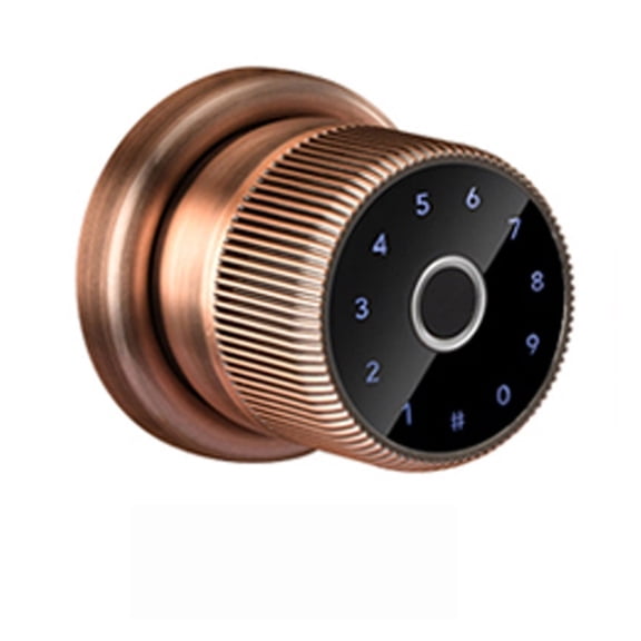 LOCK Biometric Electronic Digital Keypad Zinc Knob Fingerprint Smart Cylinder Door Lock ,Easy to Install