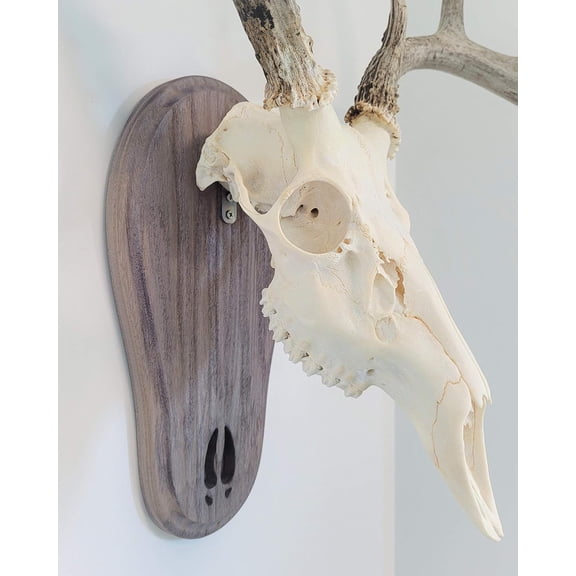 TTW Weathered Wood Deer Track Skull Mount