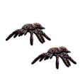 thumbnail image 1 of TUFFY® Desert Tarantula, 2-Pack Durable Dog Toys, 1 of 9