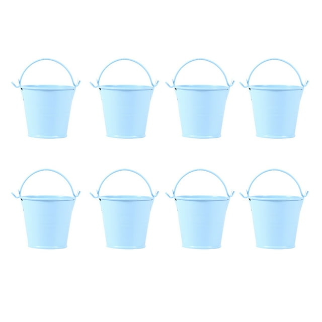 TUIBELY Cinnamon Broom Mini Tin Bucket for Plants and Decor