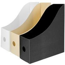 TUIBELYN 3pcs Desk Magazine File Holder Organizer Plastic Storage Box