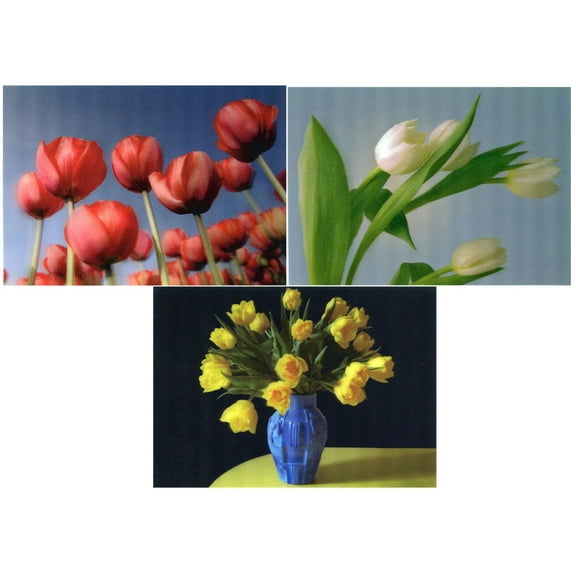TULIPS - 3D Lenticular Postcard Greeting Cards - 3 Colorful Tulip Flowers