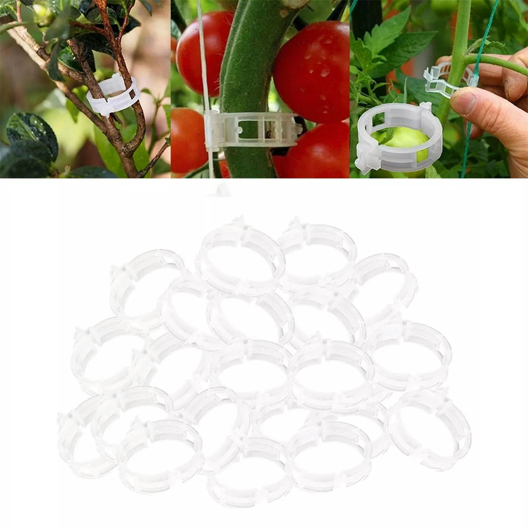 TUMALL 100 Pieces Plant Support Clips Vine Fasteners for Tomato Vine