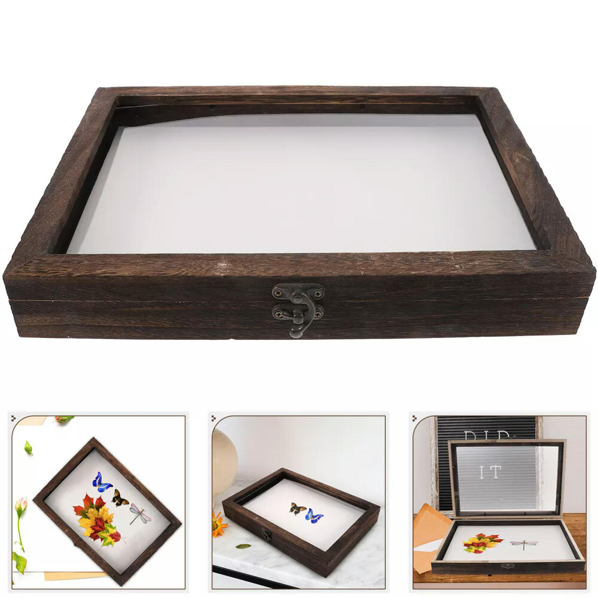 TUMALL Case Display Pinning Board Insect Specimen Box for Specimens