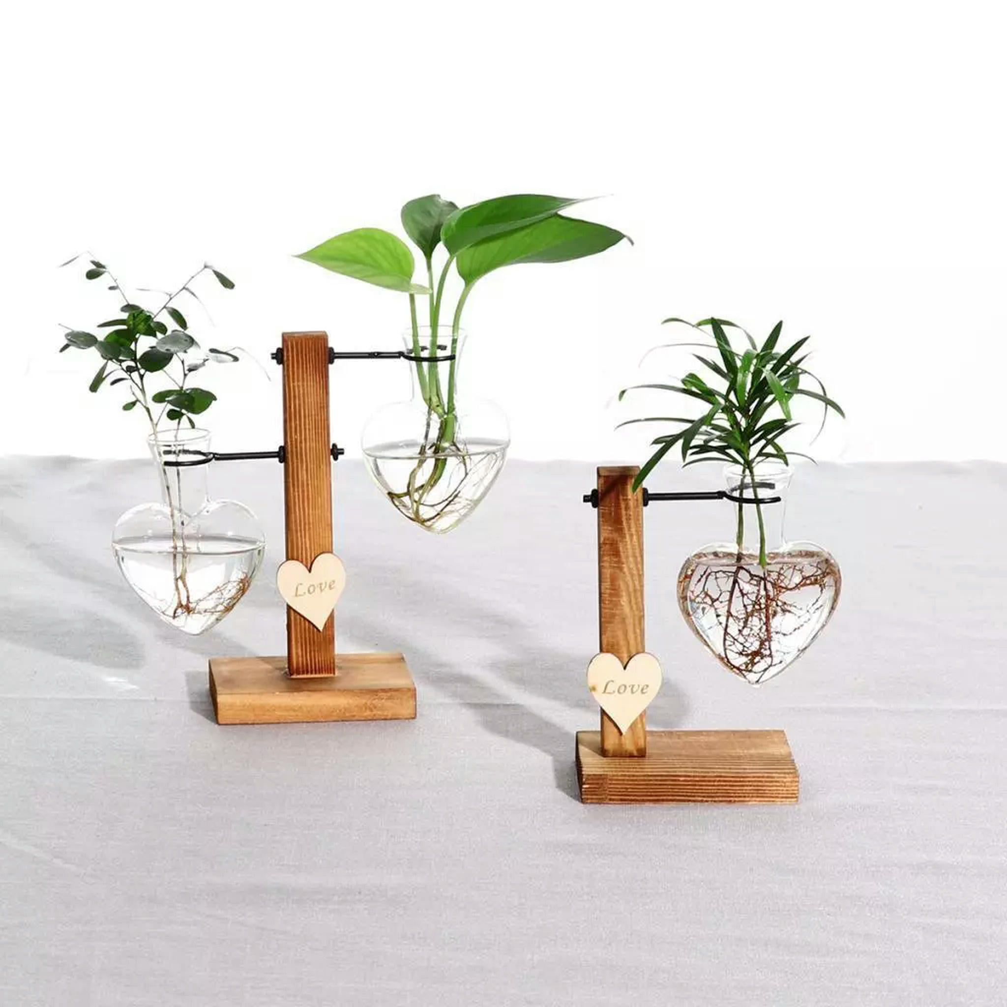 TUMALL Glass Terrariumin Test Tube Vase Easy to Clean Planter for