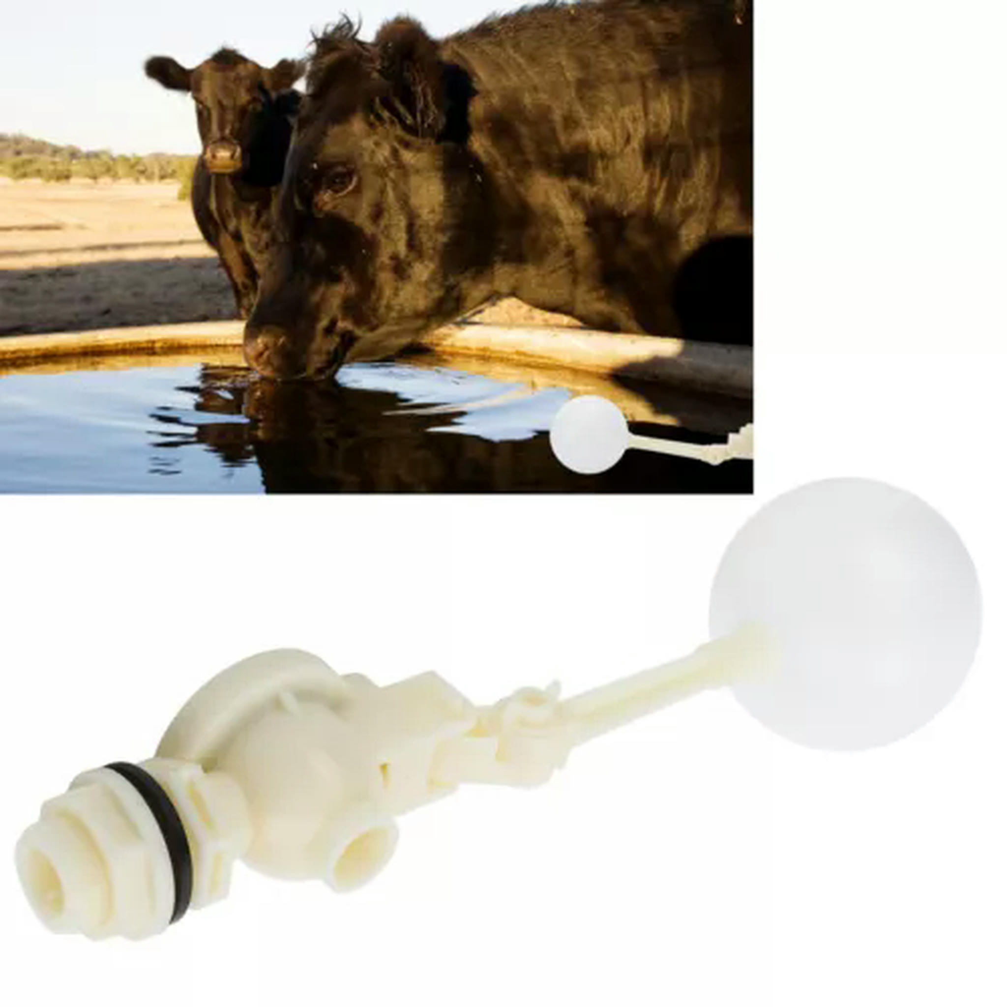 TUMALL Mini Float Ball Valve Shutoff 3/4" Automatic Fill Feed Water