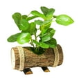 TUMALL Mini Potted Plant Artificial Potted Green Plants for Indoor