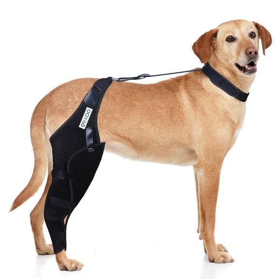 TUOY Dog Knee Brace for ACL, Knee Cap Dislocation, Arthritis - Full Wrap - Easy Adjustable - Extra Support - Reduces Pain and Inflammation  Full Sizes