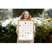 TURKISH Alphabet POSTER Print With Words And English Translations 16 x 20 inches