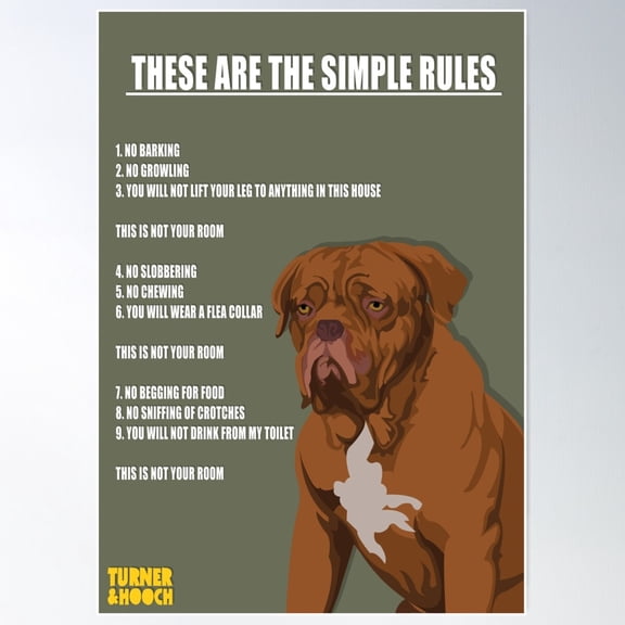 TURNER & HOOCH Poster, 8x12 UNFRAMED