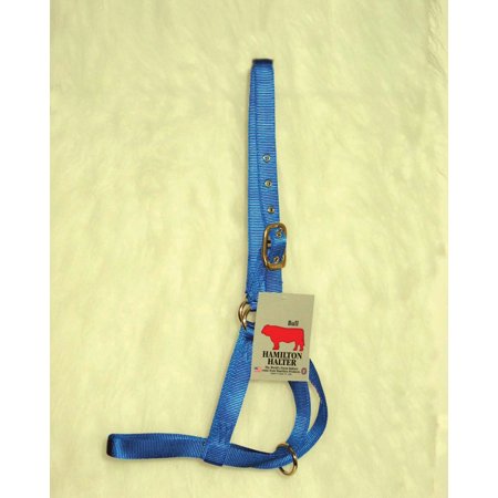 Turnout Halter