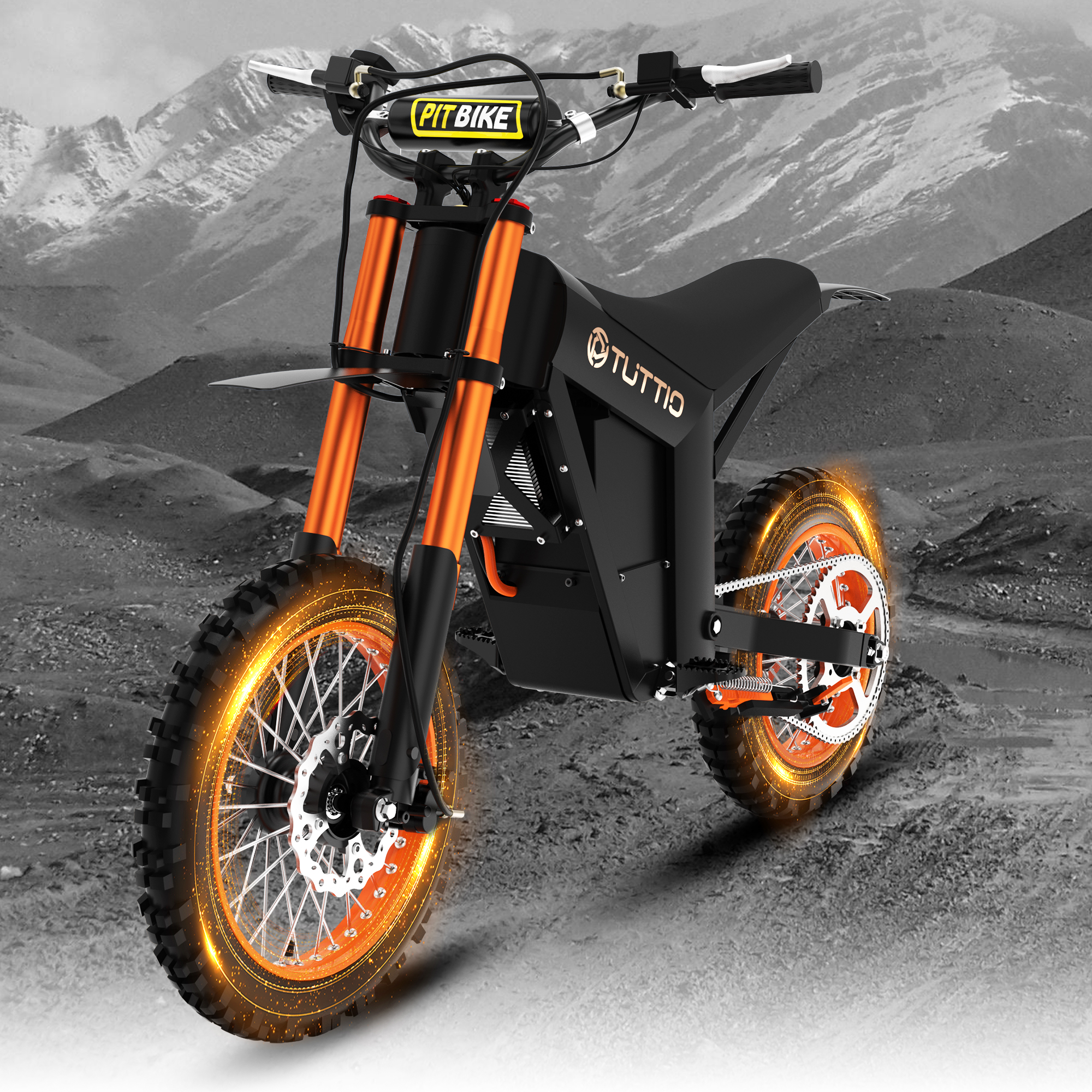High Torque Electric Bike Adult Teen 200N m 21AH Electric Motorcycle 