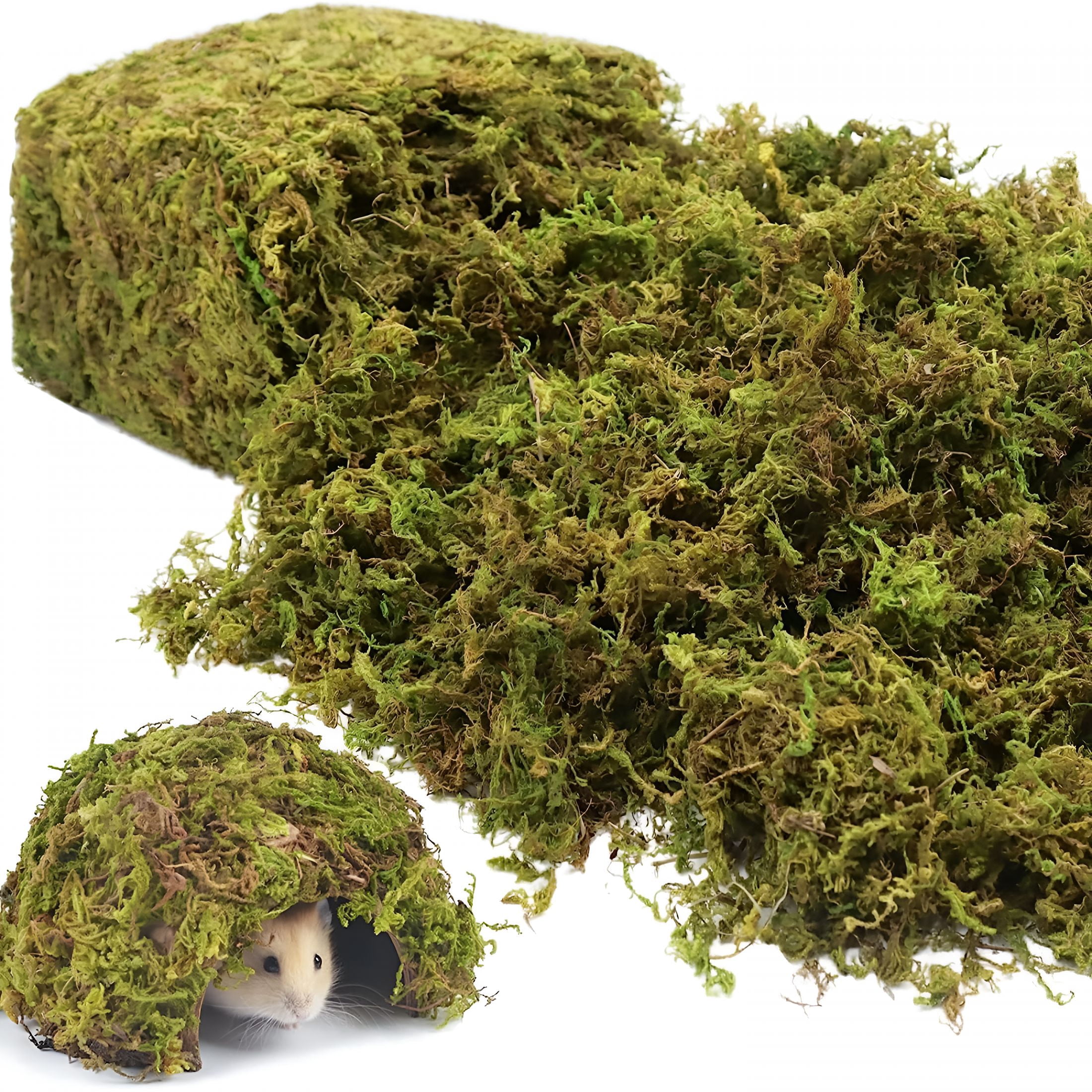 TUWAFE 1.3Lbs Artificial Fake Moss for Fake Plants Indoor- Premium Faux Craft Moss for Potted Plant,Fresh Green Moss Forest Moss for Hamsters Micro-Landscape Terrariums Centerpieces Decor
