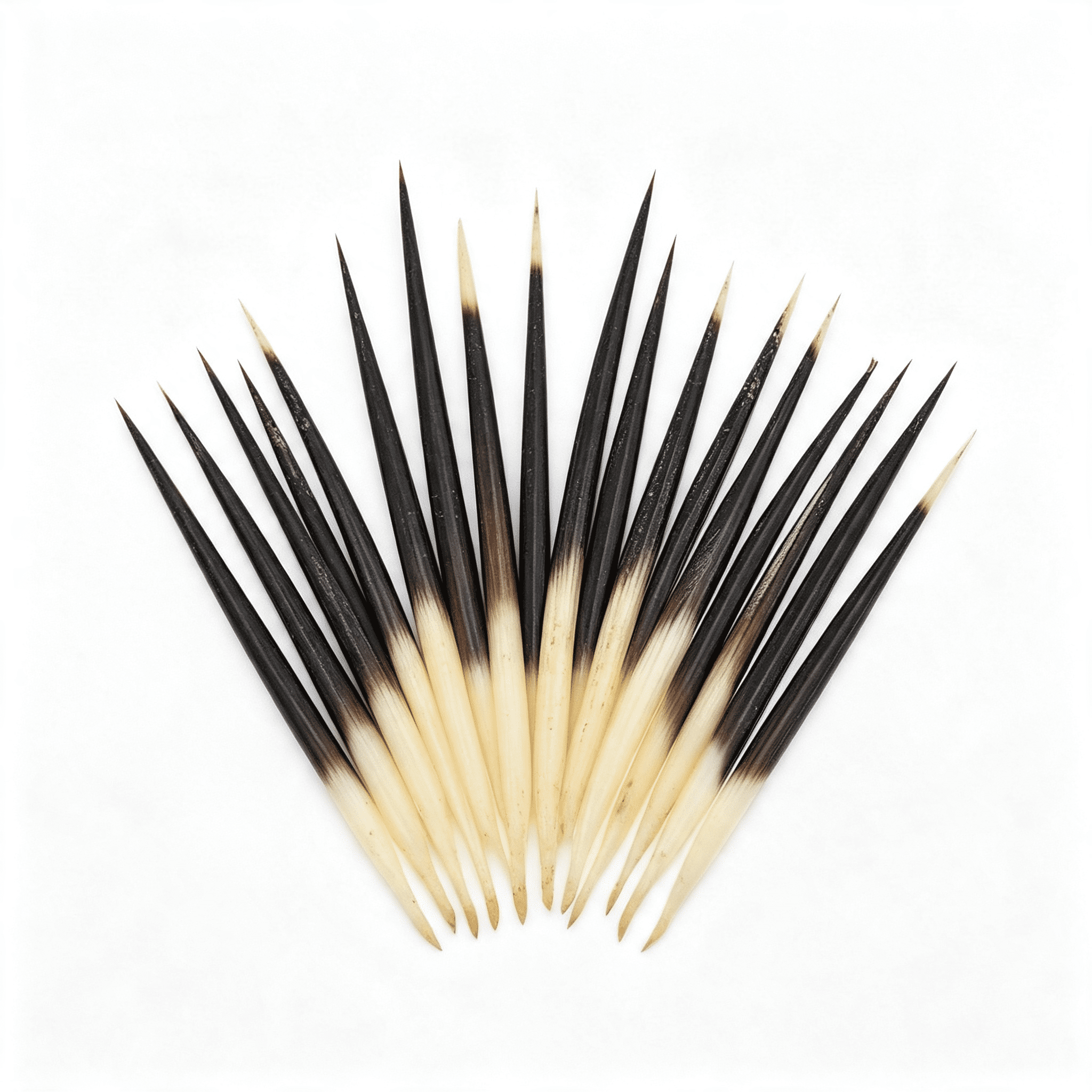 TUWAFE 10Pcs Porcupine Quills Hair Stick Indian Crafts Accessories ...