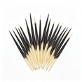 TUWAFE 10Pcs Porcupine Quills Hair Stick Indian Crafts Accessories ...