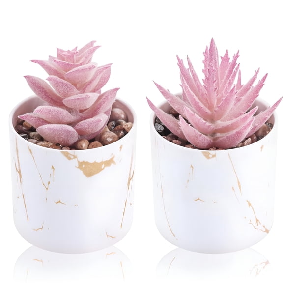 TUWAFE 2026 New Set of 2 Succulents Plants Artificial Mini Fake Succulents Plants for Office Desk Accessories for Women Pink Home Vanity Decor Cute Office Decor