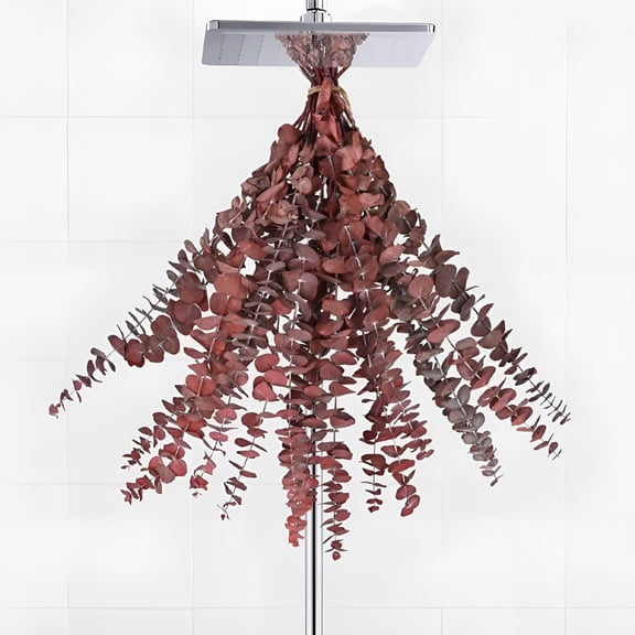 TUWAFE Dried Eucalyptus Bundle,Dried Eucalyptus Stems for Shower,Red Eucalyptus for Vase Filler,Preserved Eucalyptus Stems for Home Spa Bathroom Vase Decor Shower Plant,20Pcs