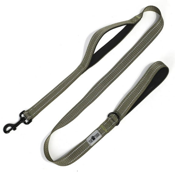 TUXTOOX Dog Leash, 6 ft Leashes for Small to Medium Dogs, Double Handle Dog Leash, Reflective Walking Training Lead, Green