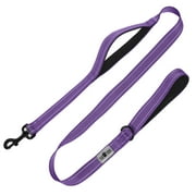 TUXTOOX Dog Leash, 6 FT Leashes for Small to Large Dogs, Double Handle Dog Leash, Reflective Walking Training Lead, Purple