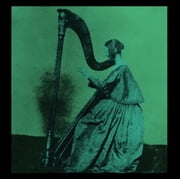 TV Girl - Grapes Upon The Vine - Music & Performance - Vinyl