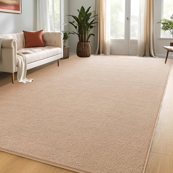TWINNIS Soft Area Rug Modren Rugs for Living Room Memory-Foam Carpets,Softness Rugs for Bedroom,Tan,4'x6'
