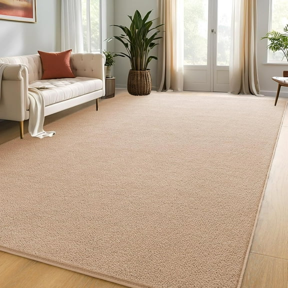 TWINNIS Soft Area Rug Modren Rugs for Living Room Memory-Foam Carpets,Softness Rugs for Bedroom,Tan,5'x7'
