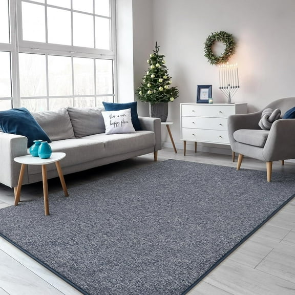 TWINNIS Soft Area Rug,Washable Rugs for Living Room,Fluffy Carpet, Cute Accent Kids Rugs for for Bedroom Nursery Dorm Indoor Room Decor,Blue/White,4'x6'