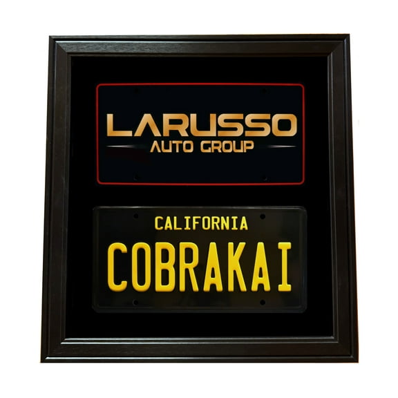 TWO Automobile License Plate Tag (Not Included) Wall Display Picture Frame Made in the USA