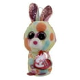 thumbnail image 1 of TY Basket Beanie Baby - BLOOMY the Rainbow Bunny Rabbit (3 inch), 1 of 2