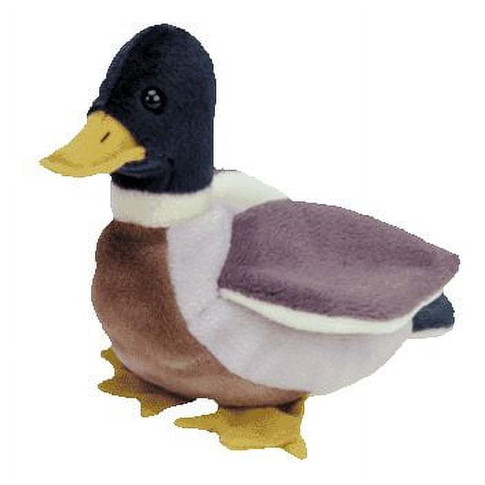 Beanie baby jake the duck discount